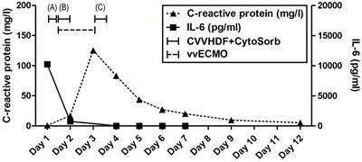 Does adjunctive hemoadsorption provide benefit in the management of ischemia–reperfusion syndrome following near-drowning? A case report